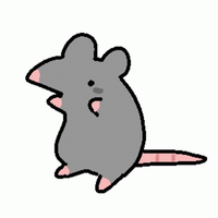 shhbrn profile photo