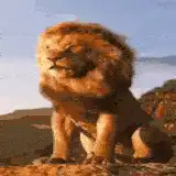 CaliTheIronLion profile photo