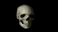 IceBearXZ profile photo